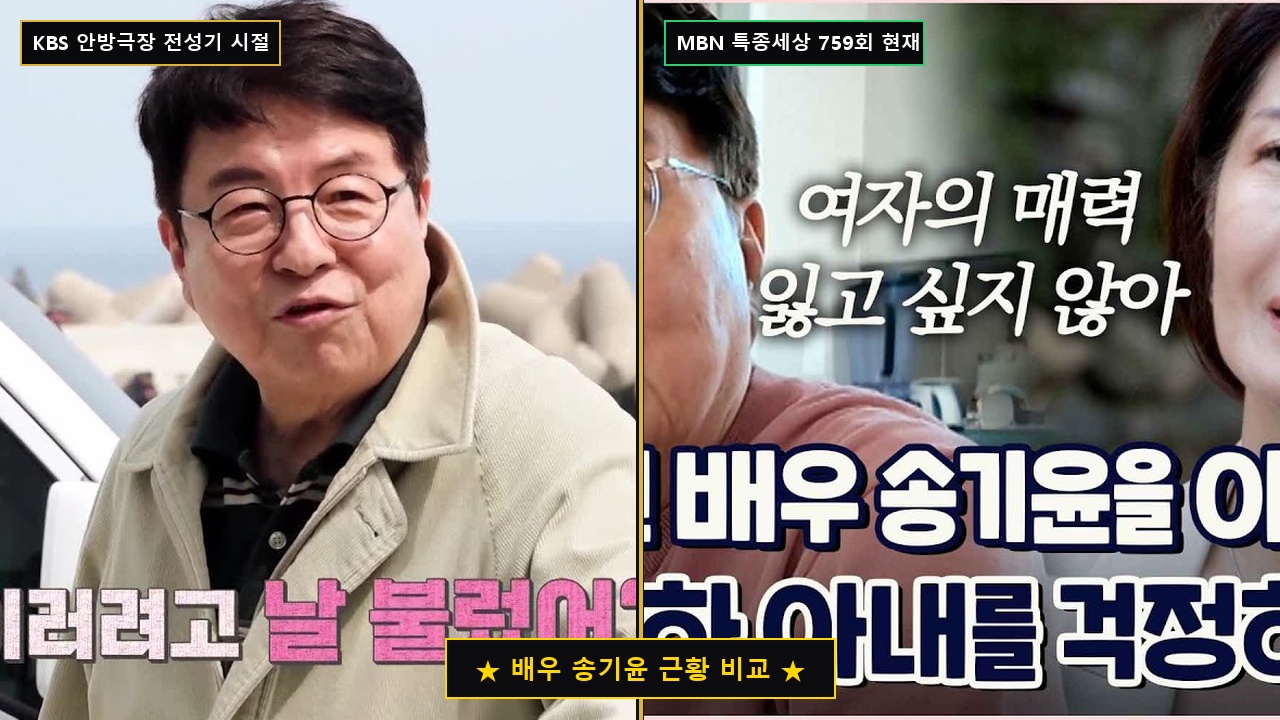 배우 송기윤 전성기와 현재 근황 비교