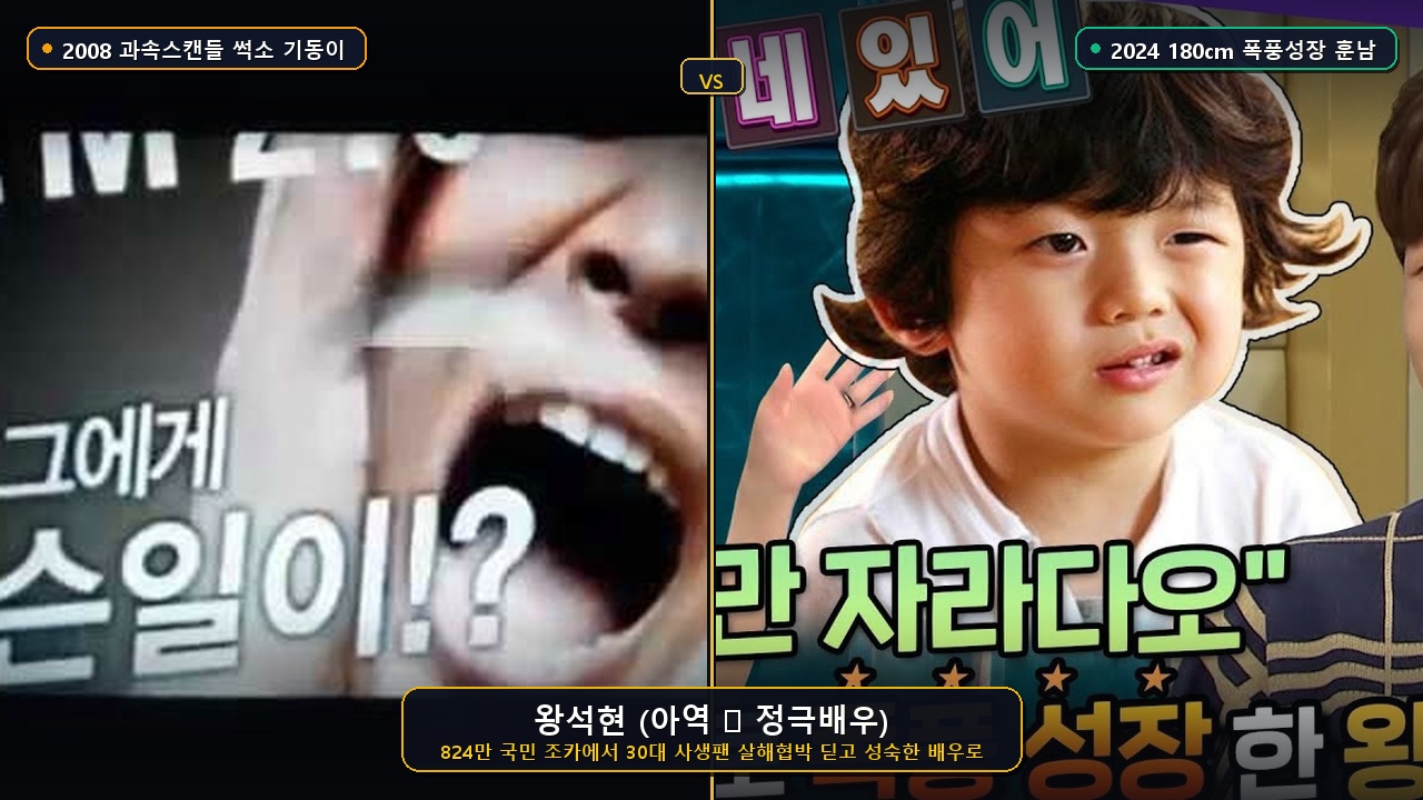 왕석현 전성기와 최신 근황 비교